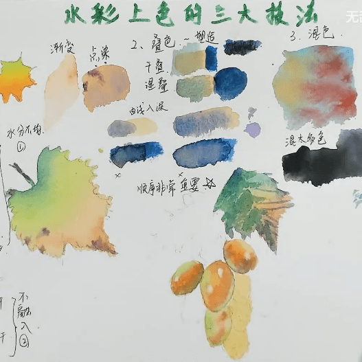 不会画水彩，请疯狂练习这一步！！【水彩教程】