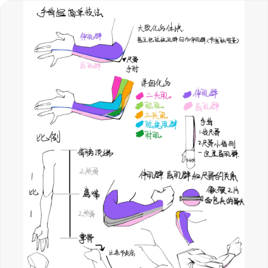 【手臂笔记】自用手背超-简单技法
