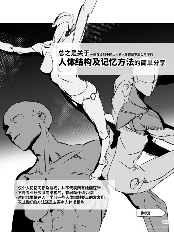关于“人体结构及记忆方法”的简单分享😎😝