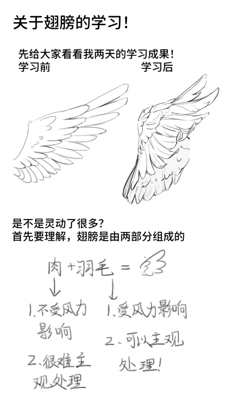 请吃翅膀教程！