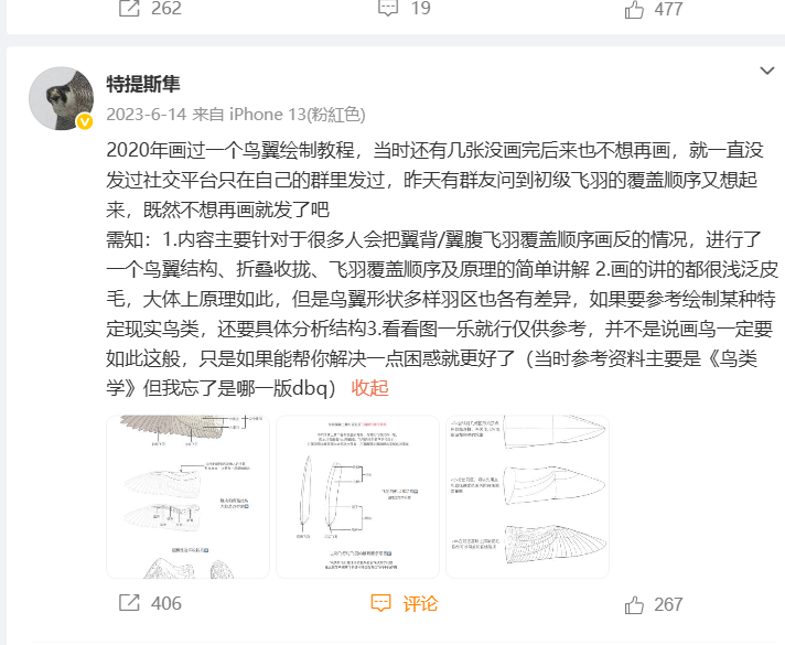 鸟翼绘制教程