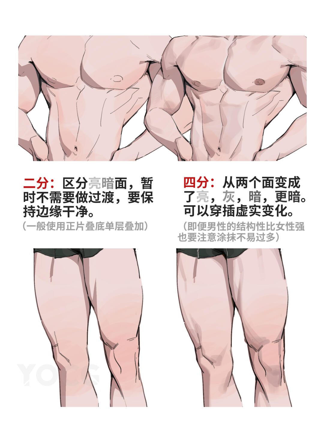 人体肌肉如何刻画？