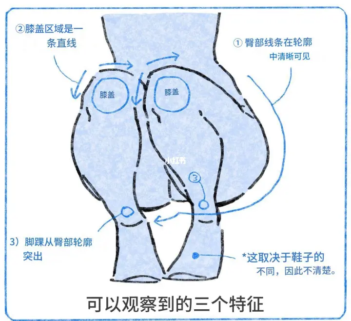 背面裤装/裸腿都能用的【轮廓穿插法】