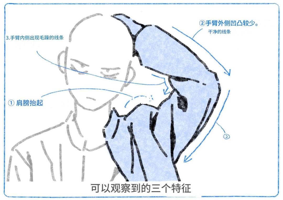 一招画活抬手褶皱｜肩高外滑内鼓 3 步到位